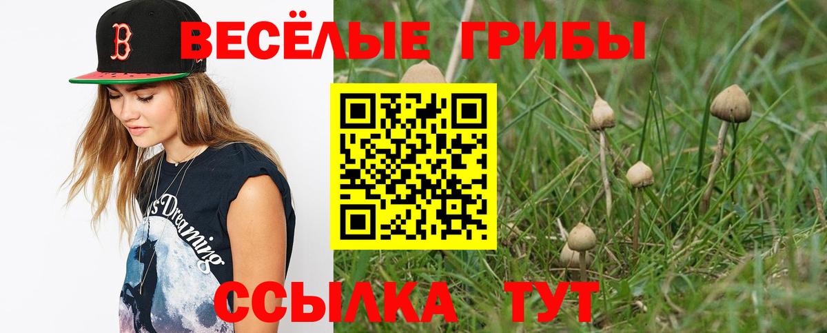 цены наркотик  Вход с VPN  Лесозаводск  Галлюциногенные грибы MAGIC MUSHROOMS 