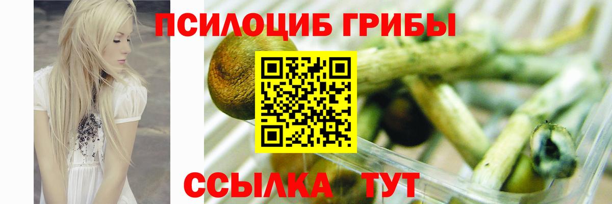Галлюциногенные грибы мухоморы Лесозаводск